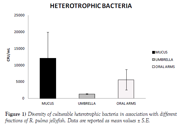marine-microbiology-heterotrophic-bacteria