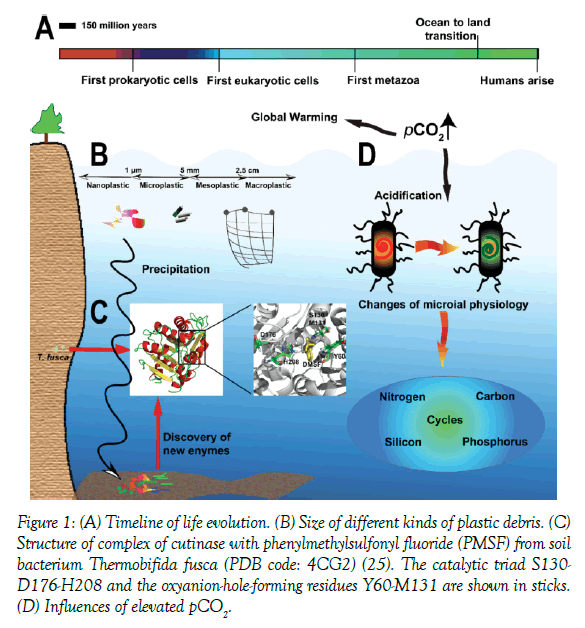 marine-microbiology-life-evolution