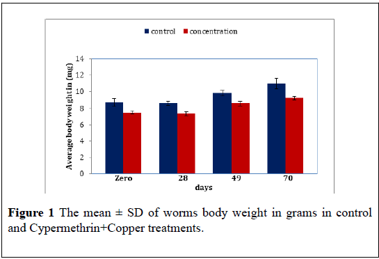 medical-toxicology-worms-body