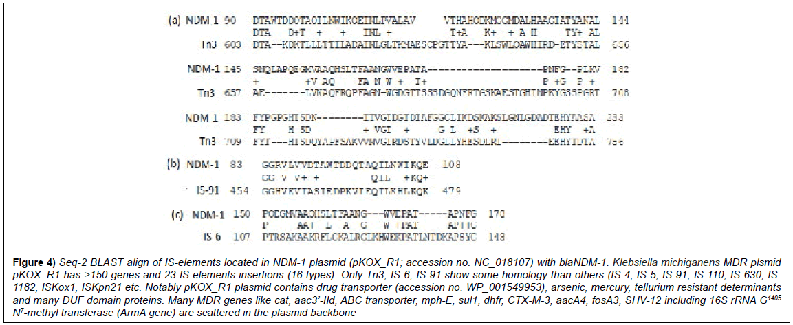 microbiology-biotechnology-reports-accession-homology-tellurium