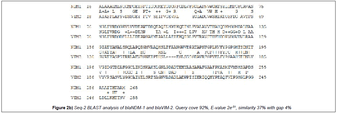 microbiology-biotechnology-reports-analysis-query-cove