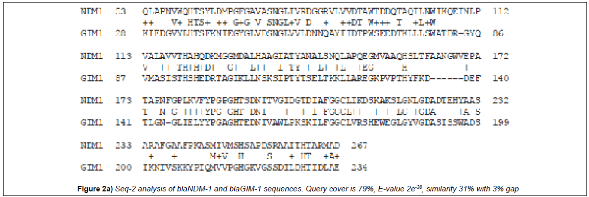 microbiology-biotechnology-reports-analysis-query-cover