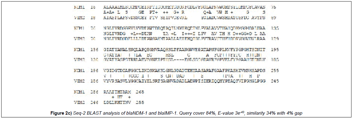 microbiology-biotechnology-reports-analysis-query-cover