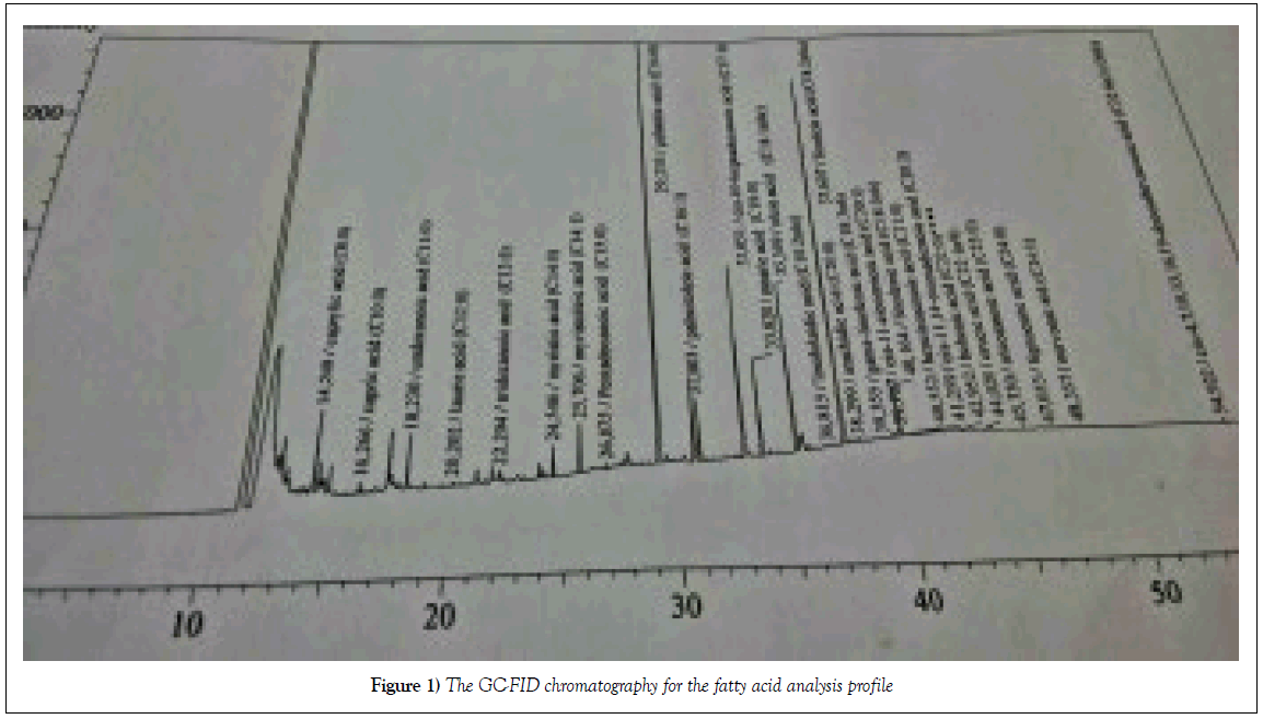 microbiology-biotechnology-reports-chromatography-fatty-acid