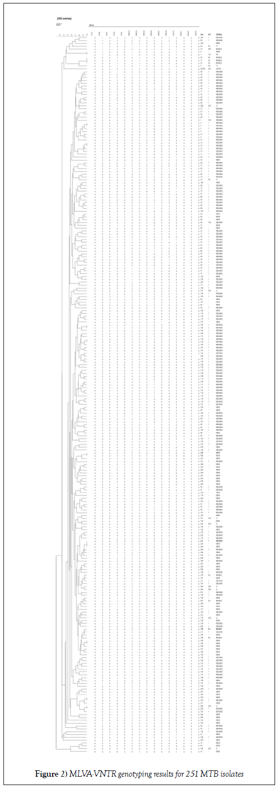 microbiology-biotechnology-reports-genotyping-isolates