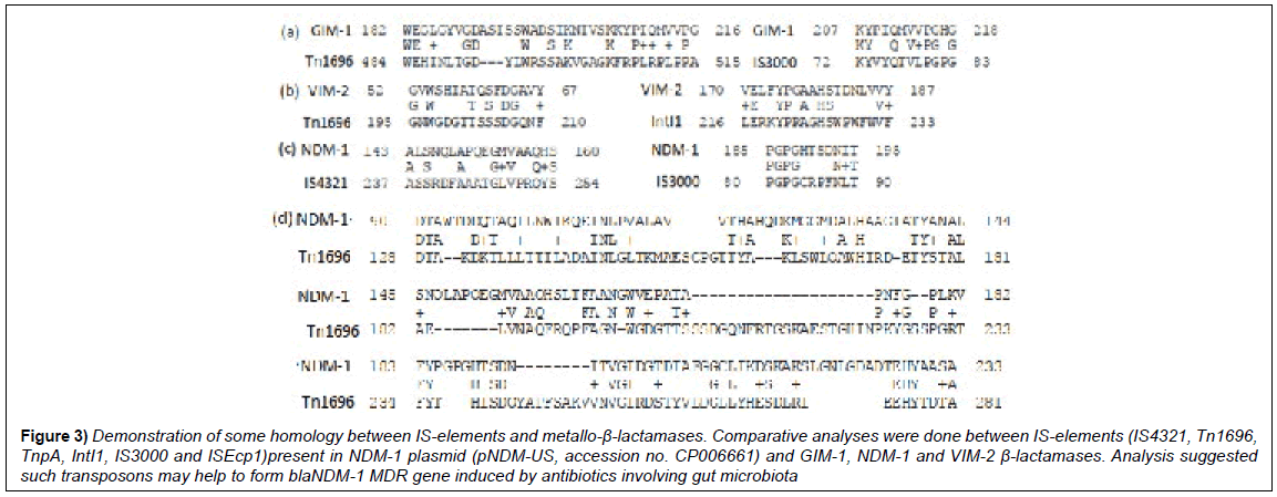 microbiology-biotechnology-reports-homology-metallo-lactamases
