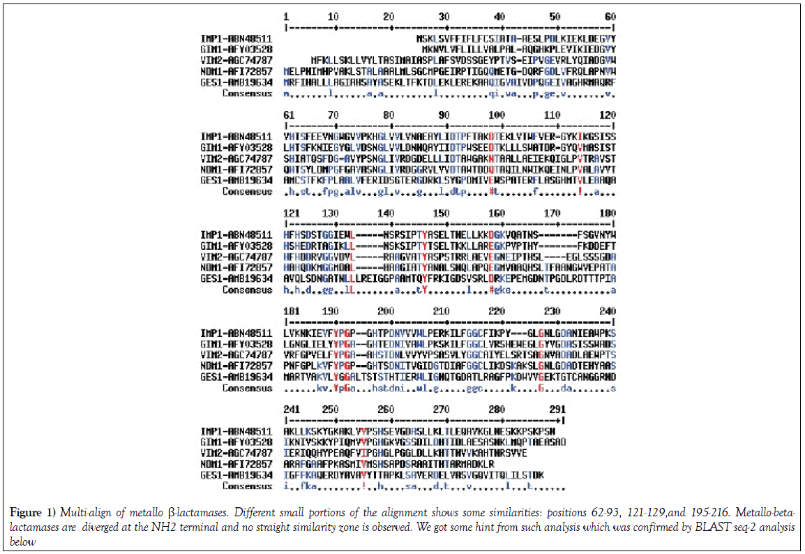 microbiology-biotechnology-reports-metallo-lactamases-alignment