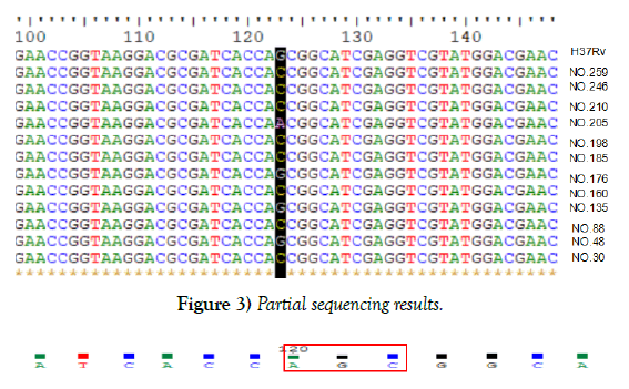 microbiology-biotechnology-reports-partial-sequencing