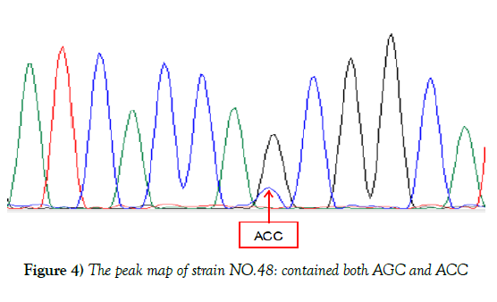 microbiology-biotechnology-reports-peak-strain