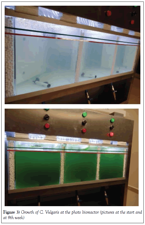 microbiology-biotechnology-reports-photo-bioreactor