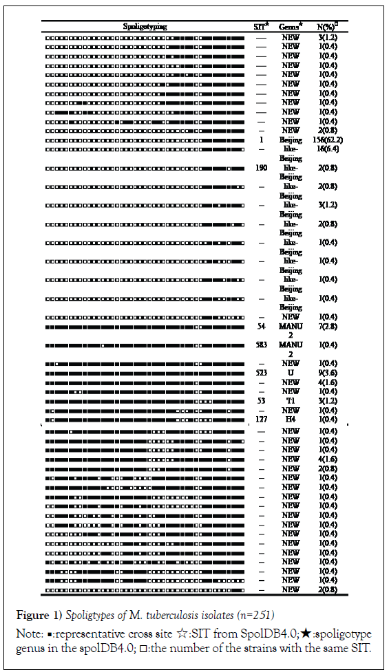 microbiology-biotechnology-reports-spoligtypes-isolates