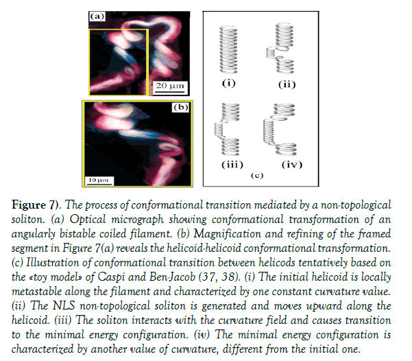 modern-applied-physics-Optical-micrograph