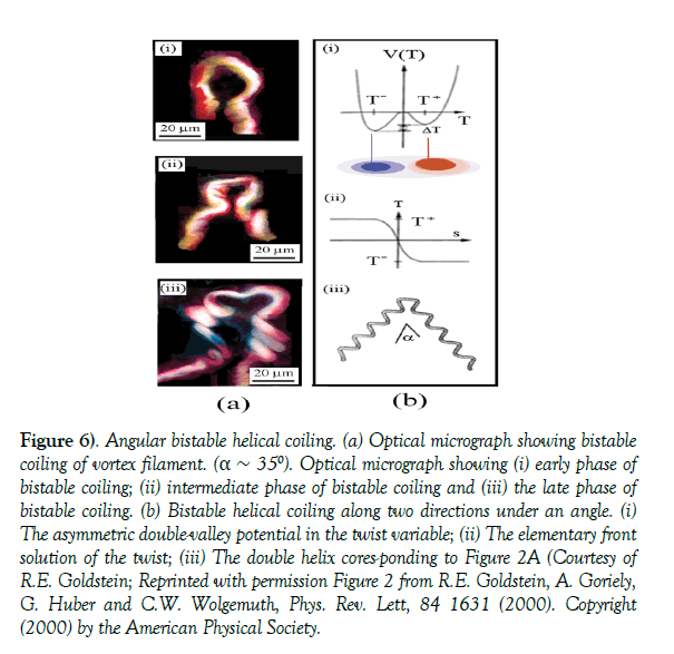 modern-applied-physics-bistable-coiling