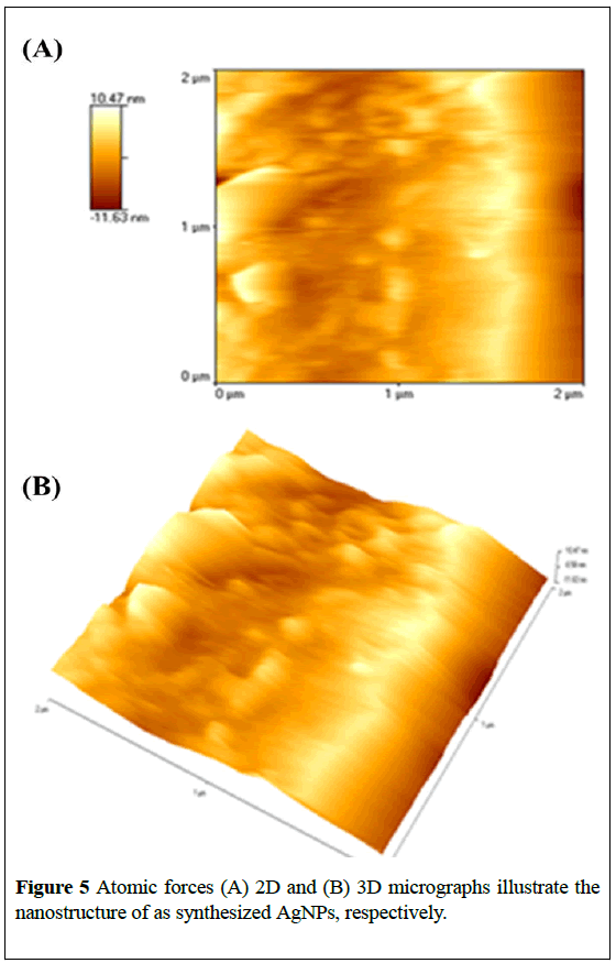 nanoscience-nanomedicine-Atomic-forces