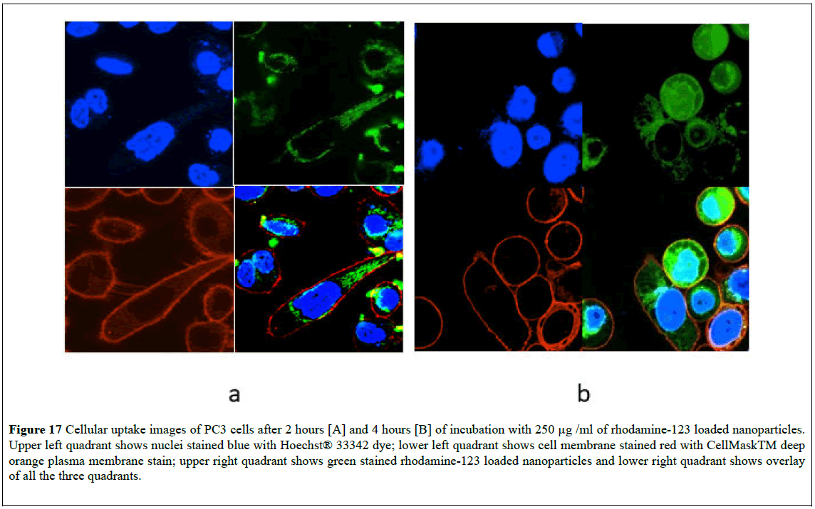 nanoscience-nanomedicine-Cellular-uptake-images