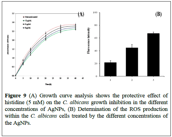 nanoscience-nanomedicine-Growth-curve-analysis