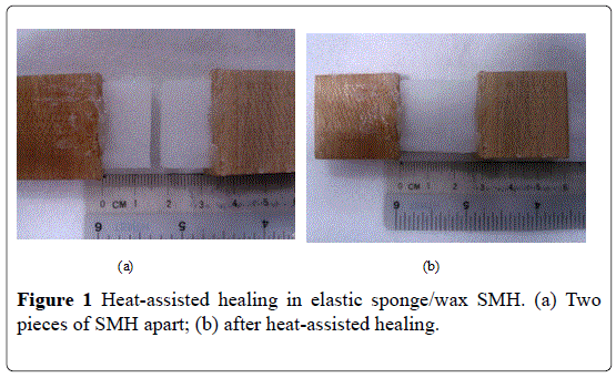 nanoscience-nanomedicine-Heat-assisted