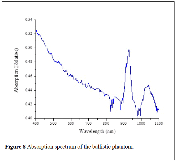 nanoscience-nanomedicine-ballistic-phantom