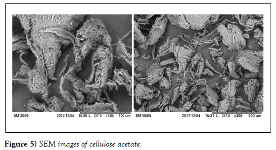 nanoscience-nanomedicine-cellulose-acetate