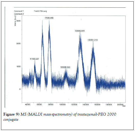 nanoscience-nanomedicine-conjugate