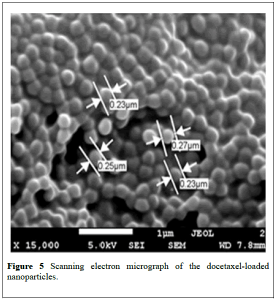 nanoscience-nanomedicine-docetaxel-loaded