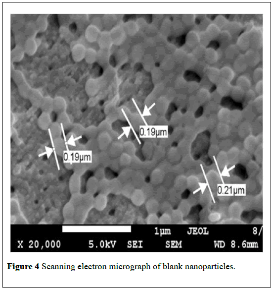 nanoscience-nanomedicine-electron-micrograph