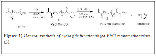 nanoscience-nanomedicine-hydrazide-functionalized