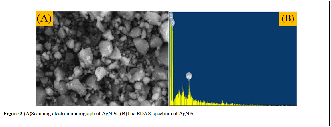 nanoscience-nanomedicine-micrograph-AgNPs