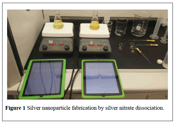 nanoscience-nanomedicine-nanoparticle-fabrication