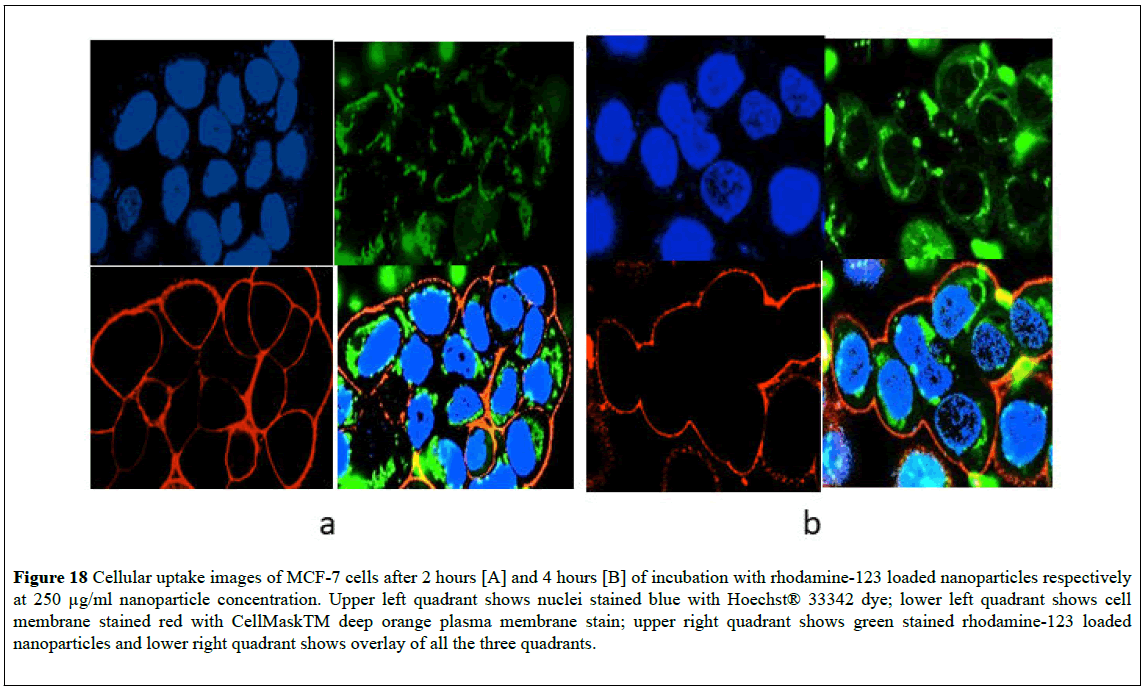 nanoscience-nanomedicine-nanoparticles-respectively