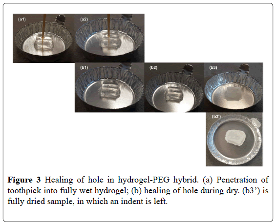 nanoscience-nanomedicine-wet-hydrogel