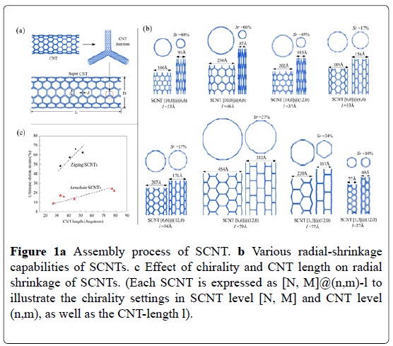 nanotechnology-letters-Assembly-process