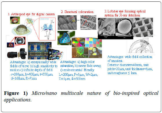 nanotechnology-multiscale-nature