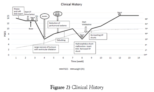 neurology-clinical-neuroscience-Clinical-History