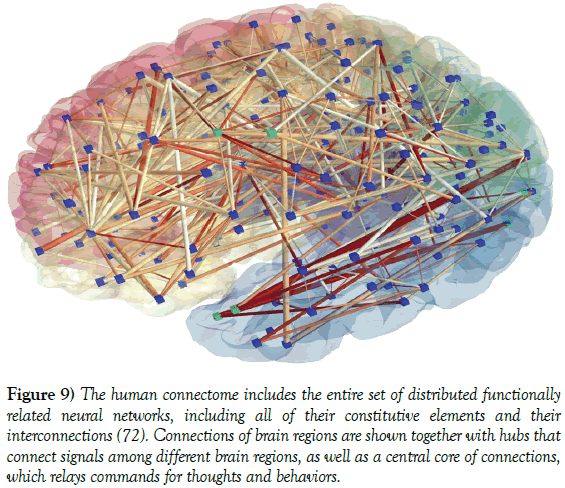 neurology-clinical-neuroscience-human-connectome