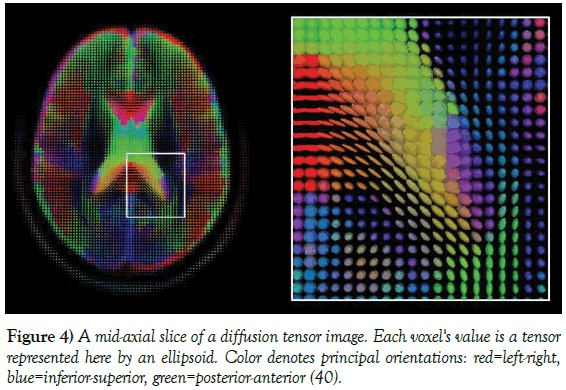 neurology-clinical-neuroscience-mid-axial-slice