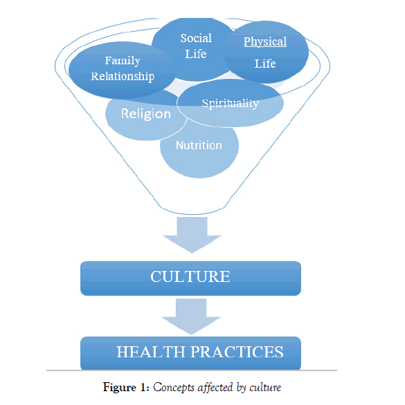 nursing-research-practice-culture