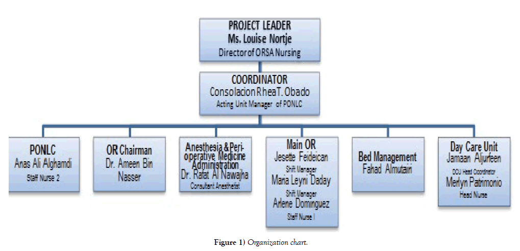 nursing-research-practice-organization-chart