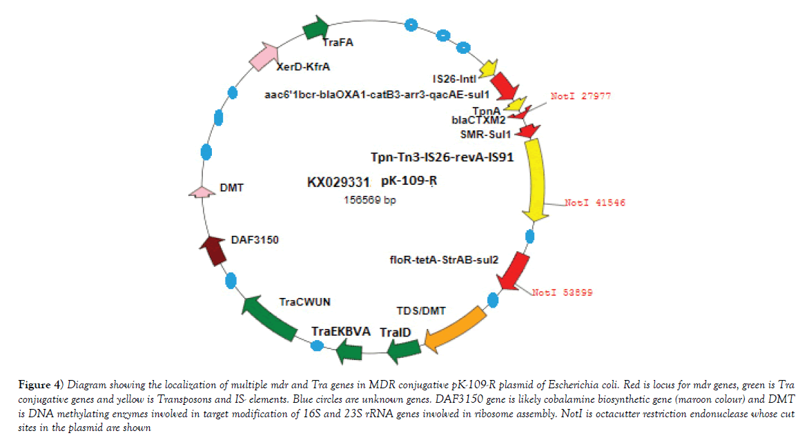 pharmaceutical-toxicology-Blue-circles