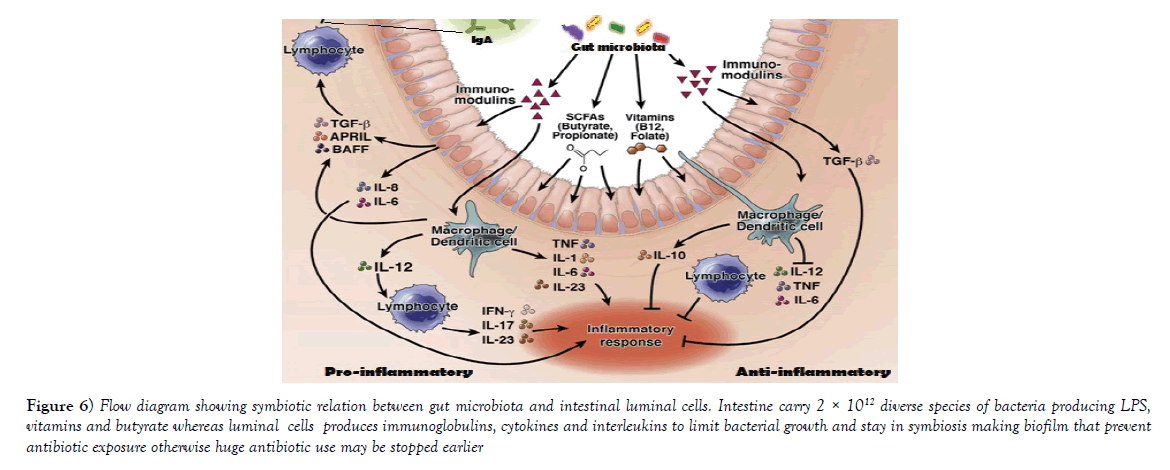 pharmaceutical-toxicology-cytokines-interleukins