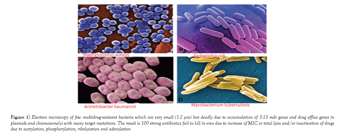 pharmaceutical-toxicology-multidrug-resistant