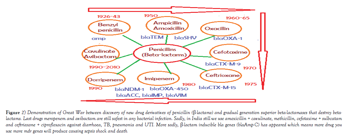 pharmaceutical-toxicology-new-drug