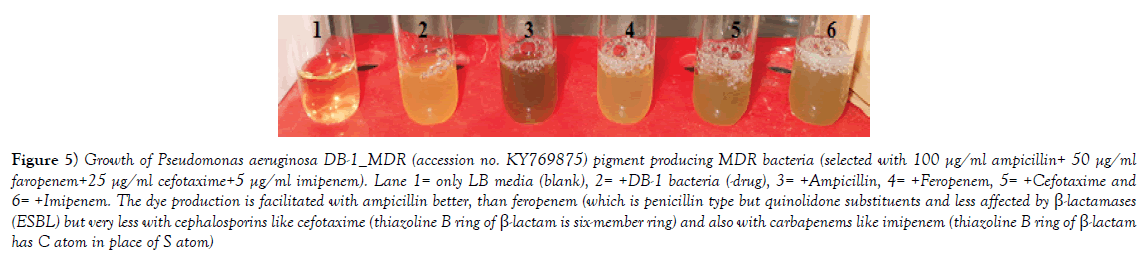 pharmaceutical-toxicology-pigment-producing