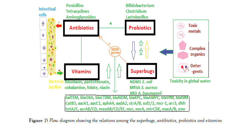 pharmaceutical-toxicology-probiotics-vitamins