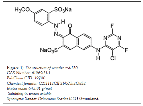 pharmacology-medicinal-chemistry-Synonyms