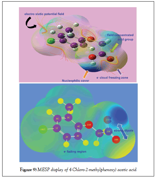 pharmacology-medicinal-chemistry-acid