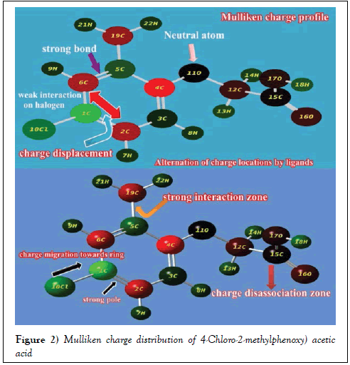 pharmacology-medicinal-chemistry-mulliken