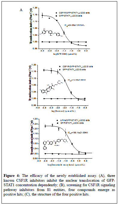 pharmacology-research-inhibitors