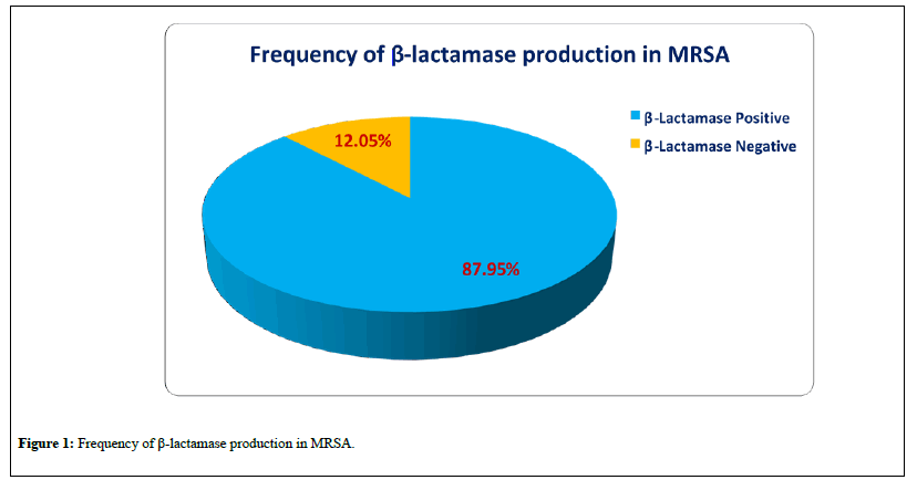 pharmacology-research-lactamase