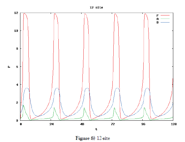 pure-applied-mathematics-12-site